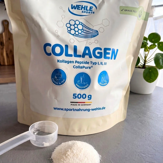 Wehle Sports Kollagen Pulver mit Typ I II III für Gelenkgesundheit Beweglichkeit und Regeneration