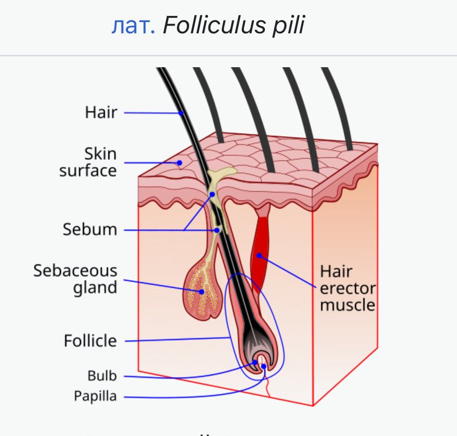 Was ist Minoxidil?